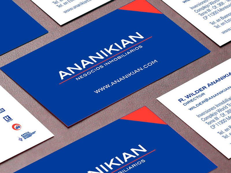 Ananikian - Branding