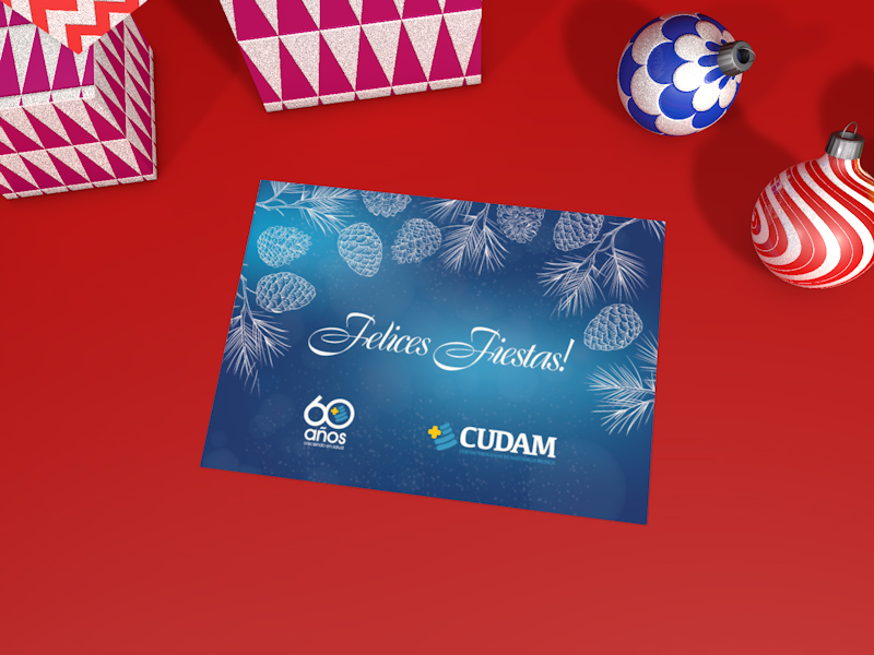 Cudam - Tarjetas